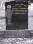 DSC00427, FITZGERALD.JPG